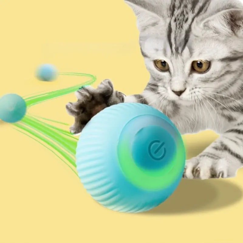 Interaktives Katzen Spielzeug Ball Bewegung Fitness Spielzeit