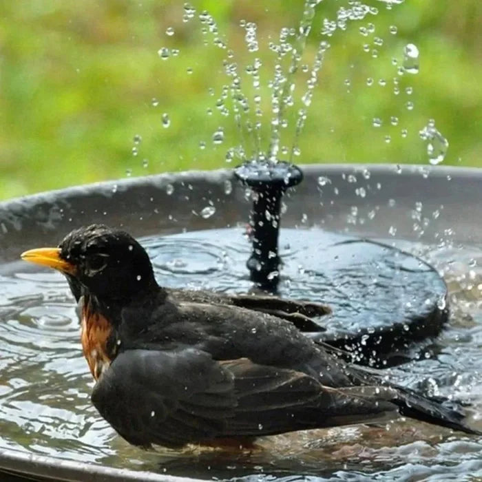 Solarbetriebene Wasserbrunnenpumpe - Umweltfreundlich - Gartenteich & Vogelbad